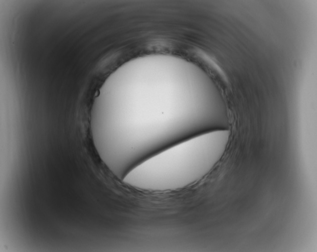 X0000099991015200805231039