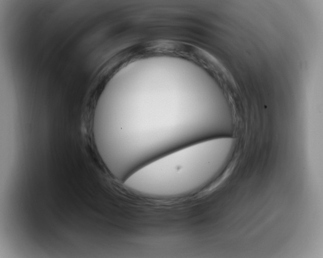 X0000099991017200805231039