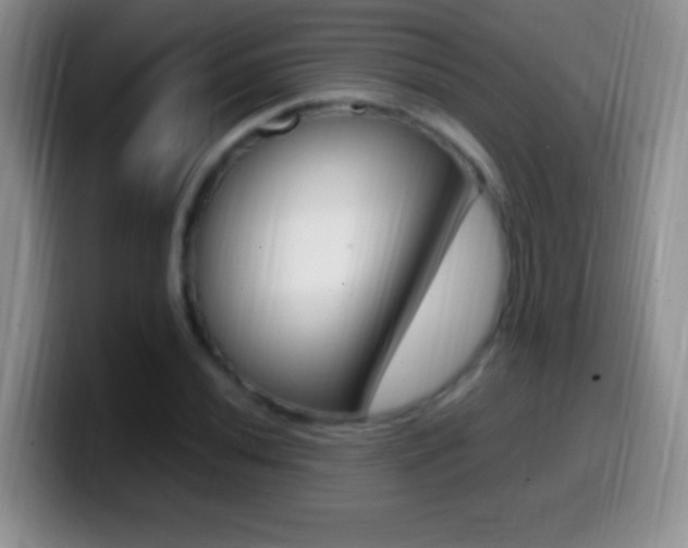 X0000099991020200805231039