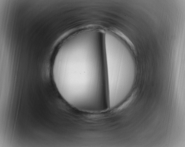X0000099991021200805231039