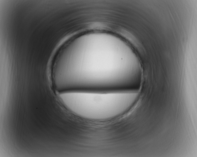 X0000099991022200805231039