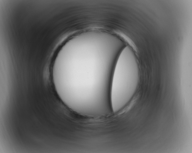 X0000099991023200805231039