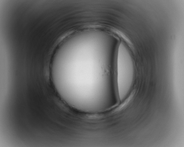 X0000099991025200805231039