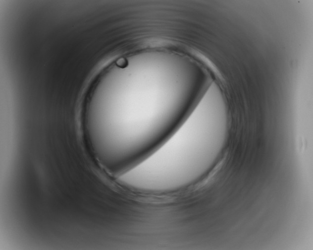 X0000099991026200805231039
