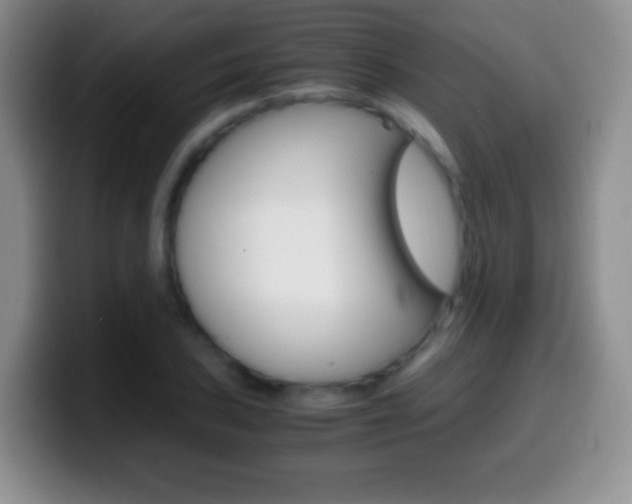 X0000099991027200805231039