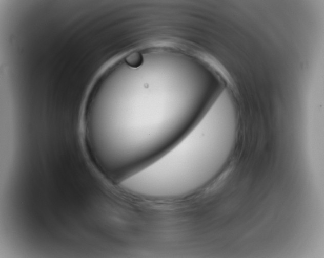 X0000099991028200805231039