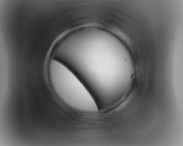 X0000099991029200805231039