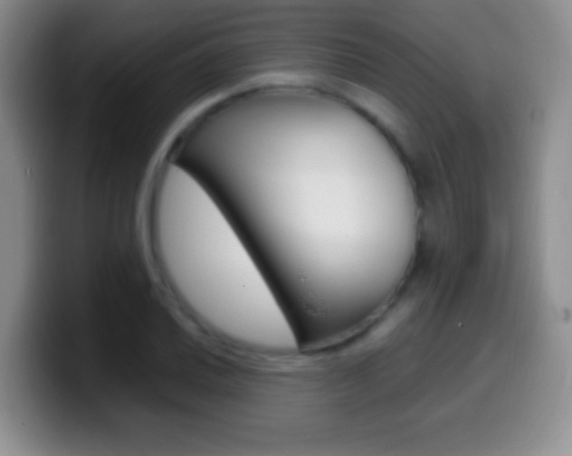 X0000099991030200805231039