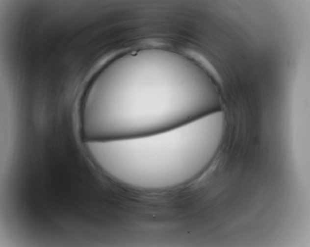 X0000099991031200805231039