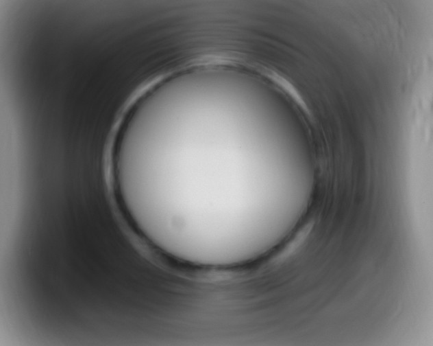 X0000099991034200805231040