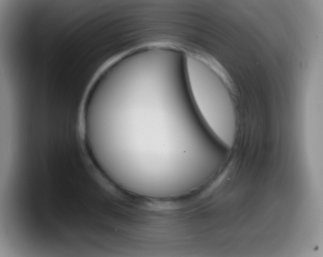 X0000099991036200805231040