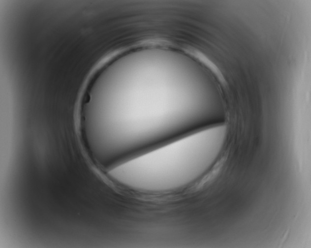 X0000099991037200805231040