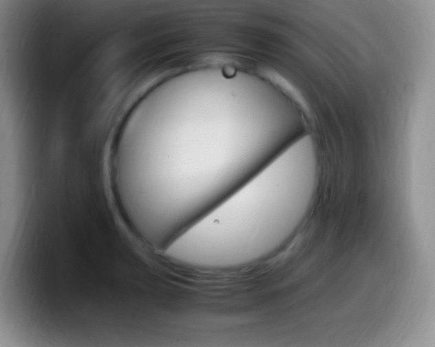 X0000099991039200805231040