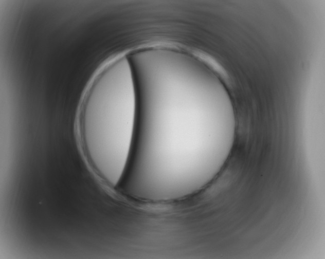 X0000099991040200805231040