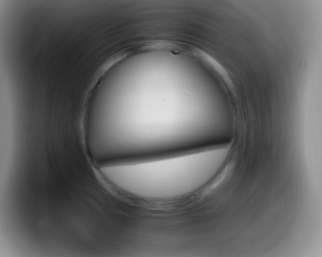 X0000099991041200805231040