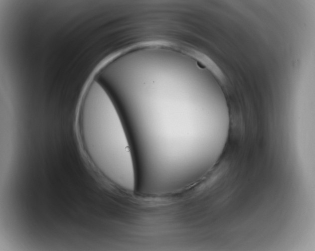 X0000099991044200805231040