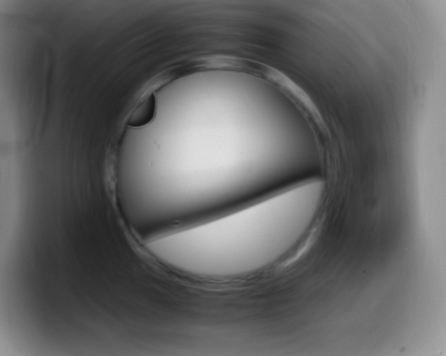 X0000099991049200805231040