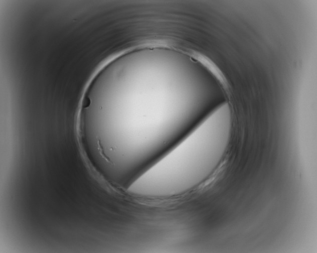 X0000099991052200805231040