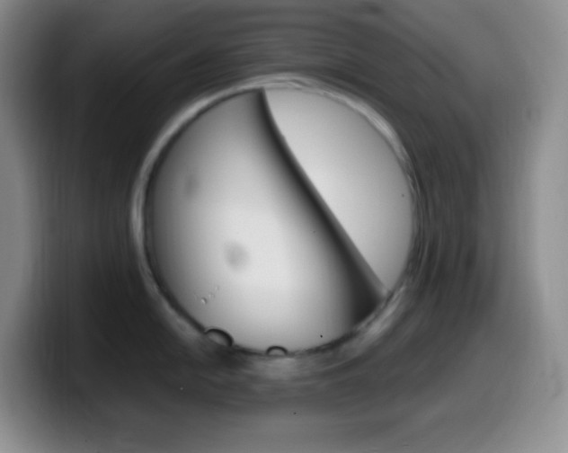 X0000099991054200805231040