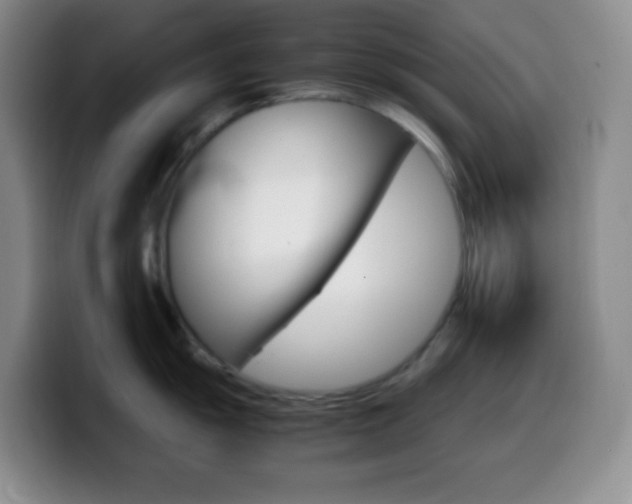 X0000099991055200805231040