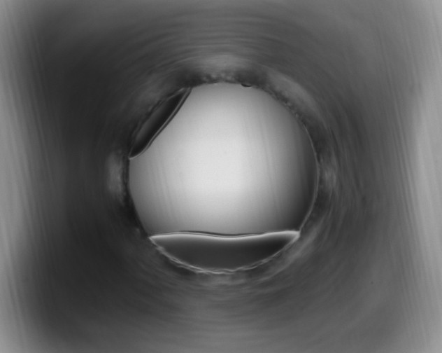 X0000099991060200805231039