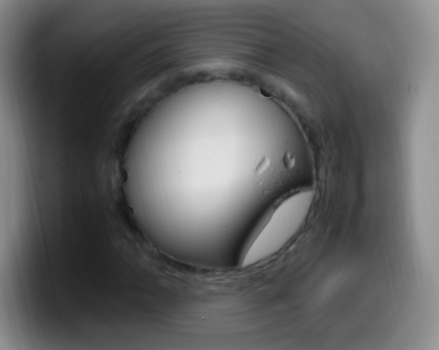 X0000099991062200805231039