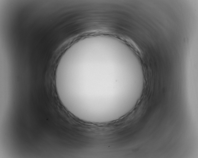 X0000099991064200805231039
