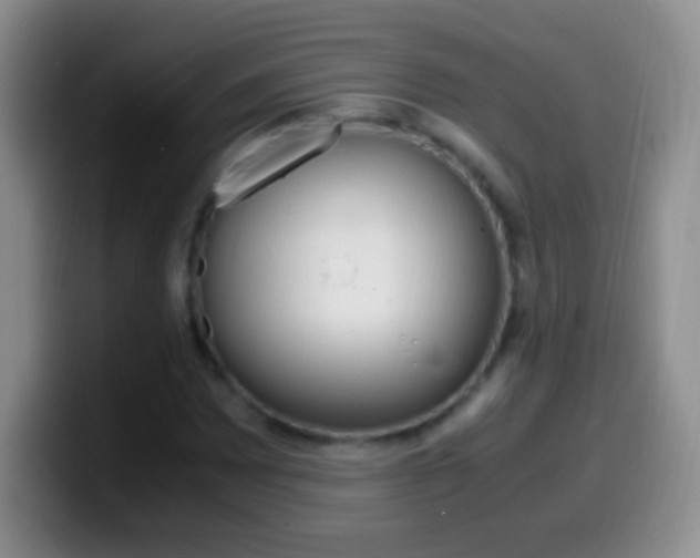 X0000099991065200805231039