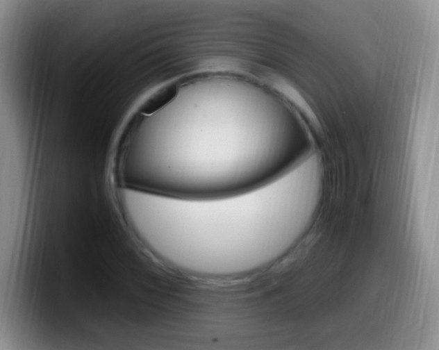 X0000099991068200805231039