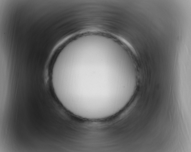 X0000099991070200805231039