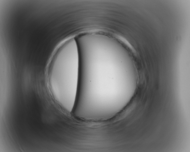 X0000099991071200805231039