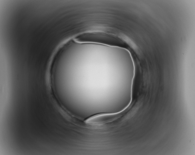 X0000099991072200805231039