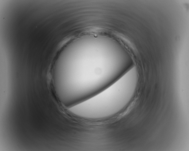 X0000099991073200805231039