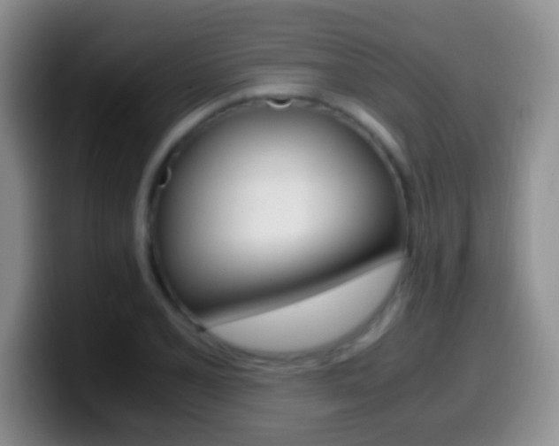 X0000099991077200805231039
