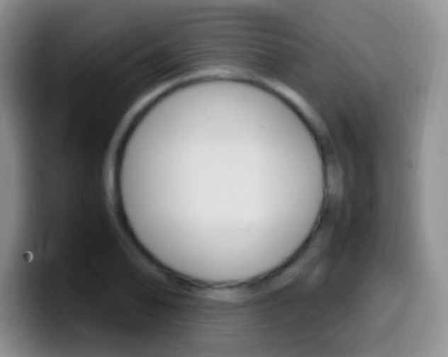 X0000099991078200805231039