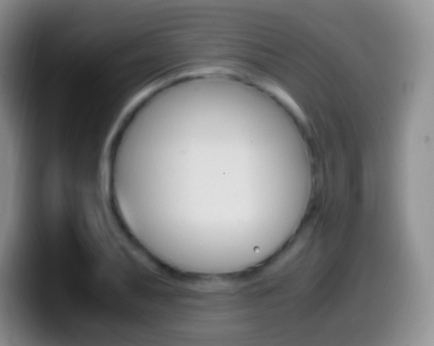 X0000099991079200805231039