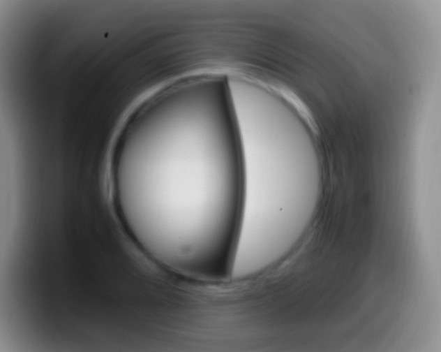 X0000099991080200805231039