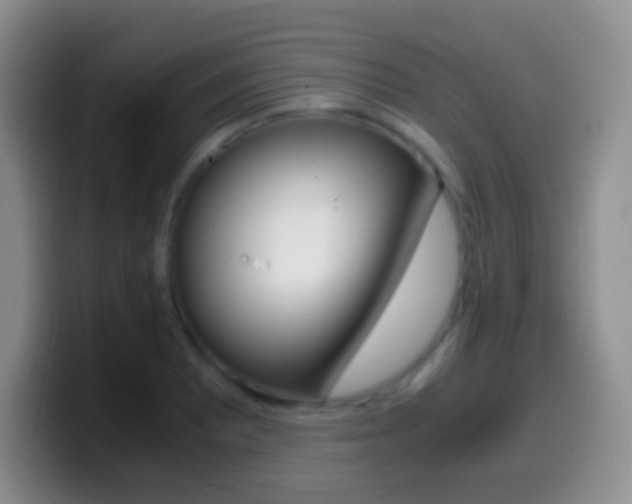 X0000099991081200805231039