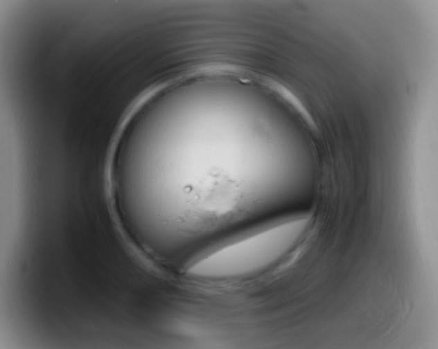 X0000099991082200805231039