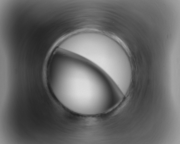 X0000099991085200805231039