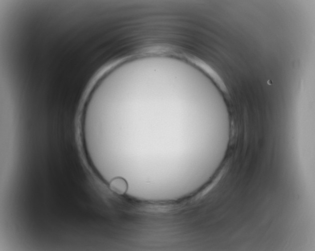 X0000099991086200805231039