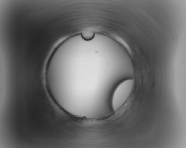 X0000099991087200805231039