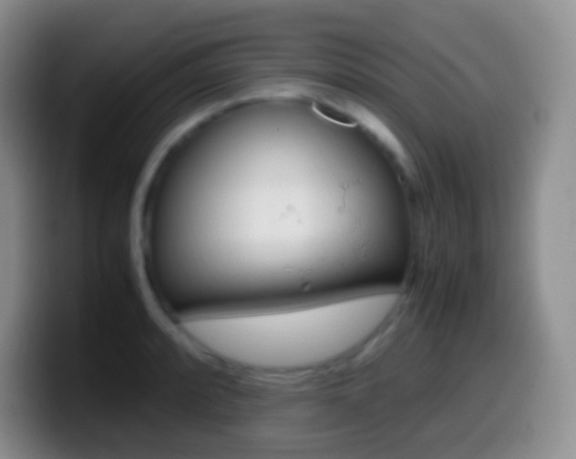 X0000099991088200805231039