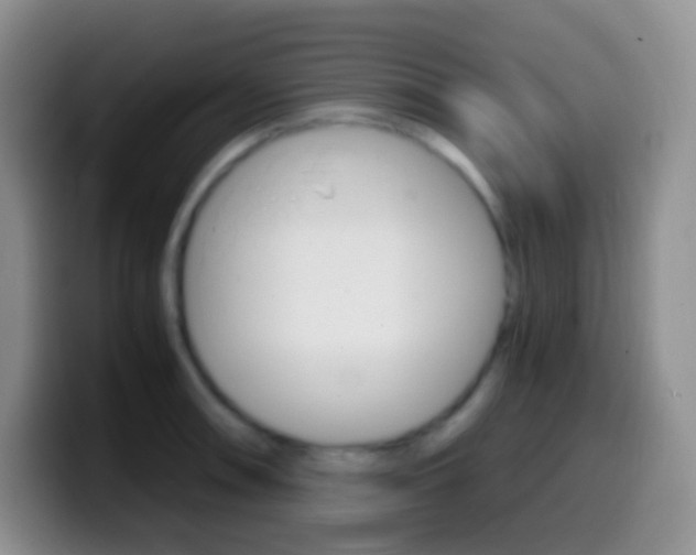 X0000099991090200805231039