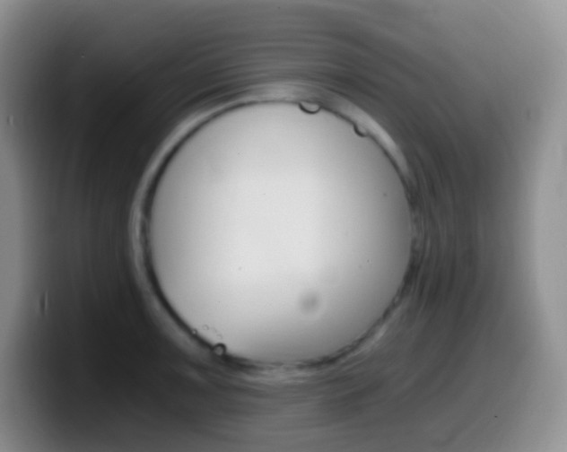 X0000099991091200805231039