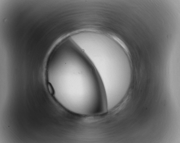 X0000099991093200805231039