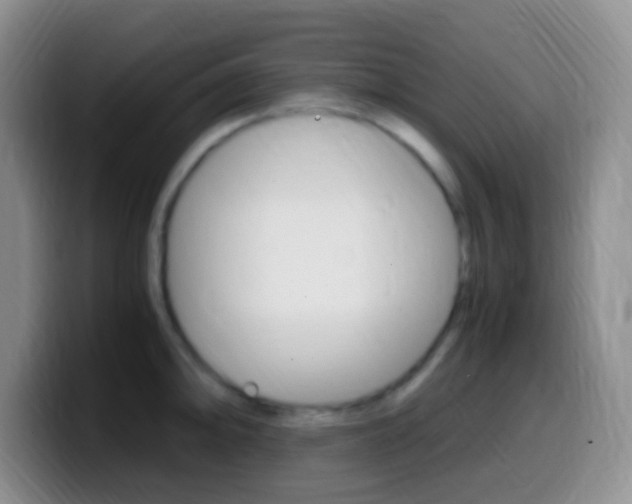 X0000099991094200805231039