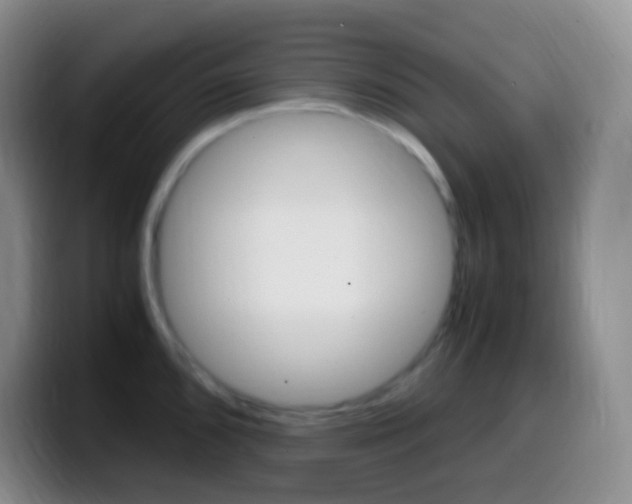 X0000099991096200805231039