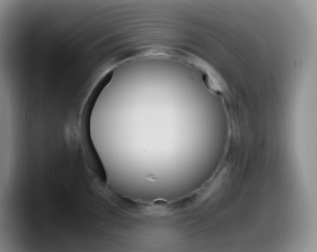 X0000099991097200805231039
