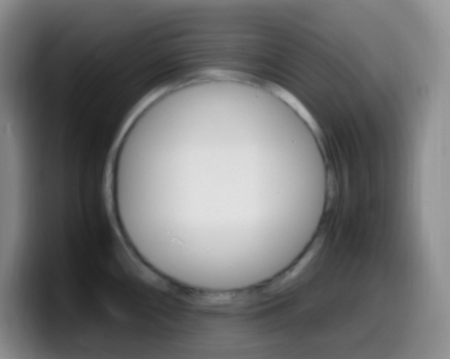 X0000099991098200805231039